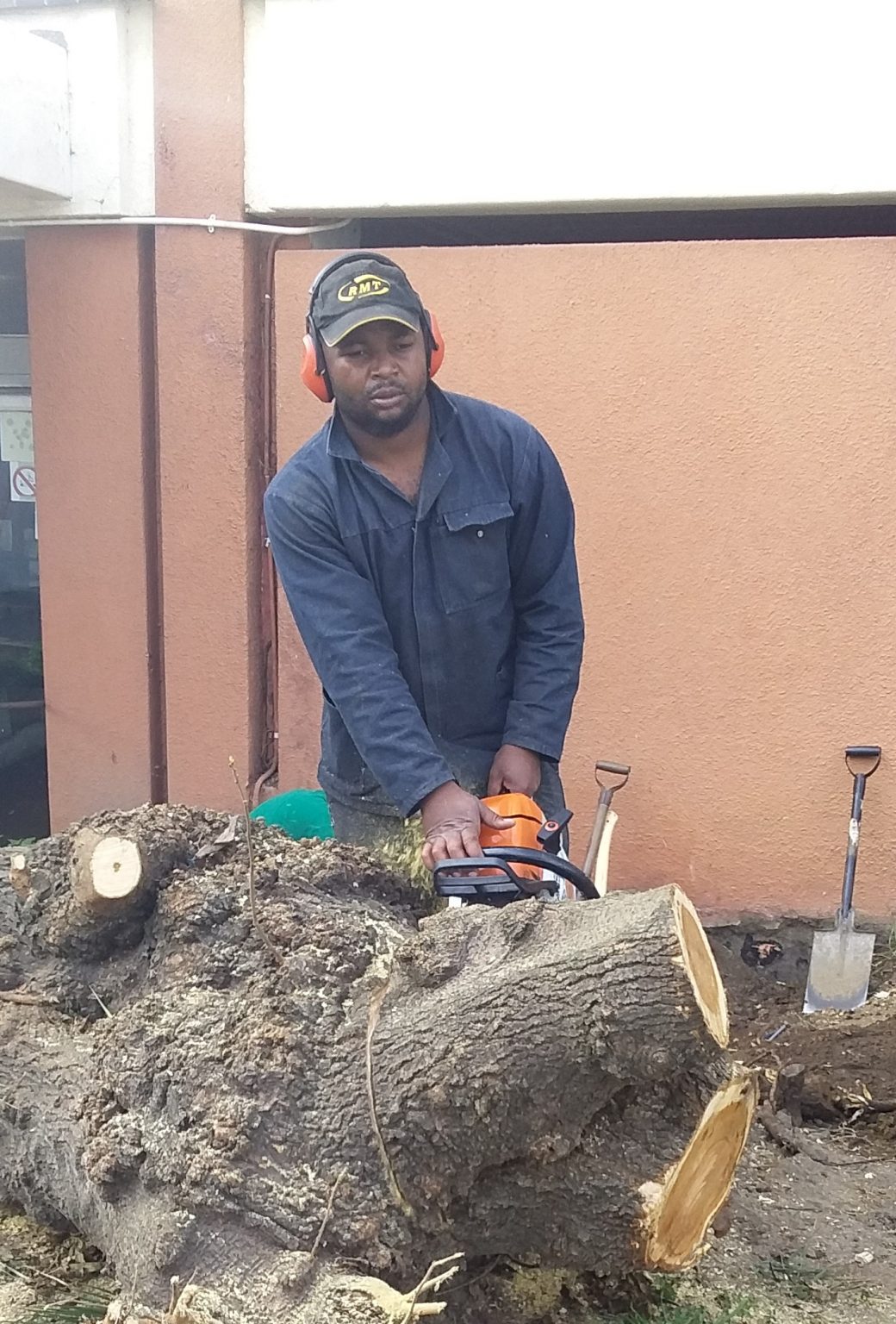 Gallery STM TREE FELLERS